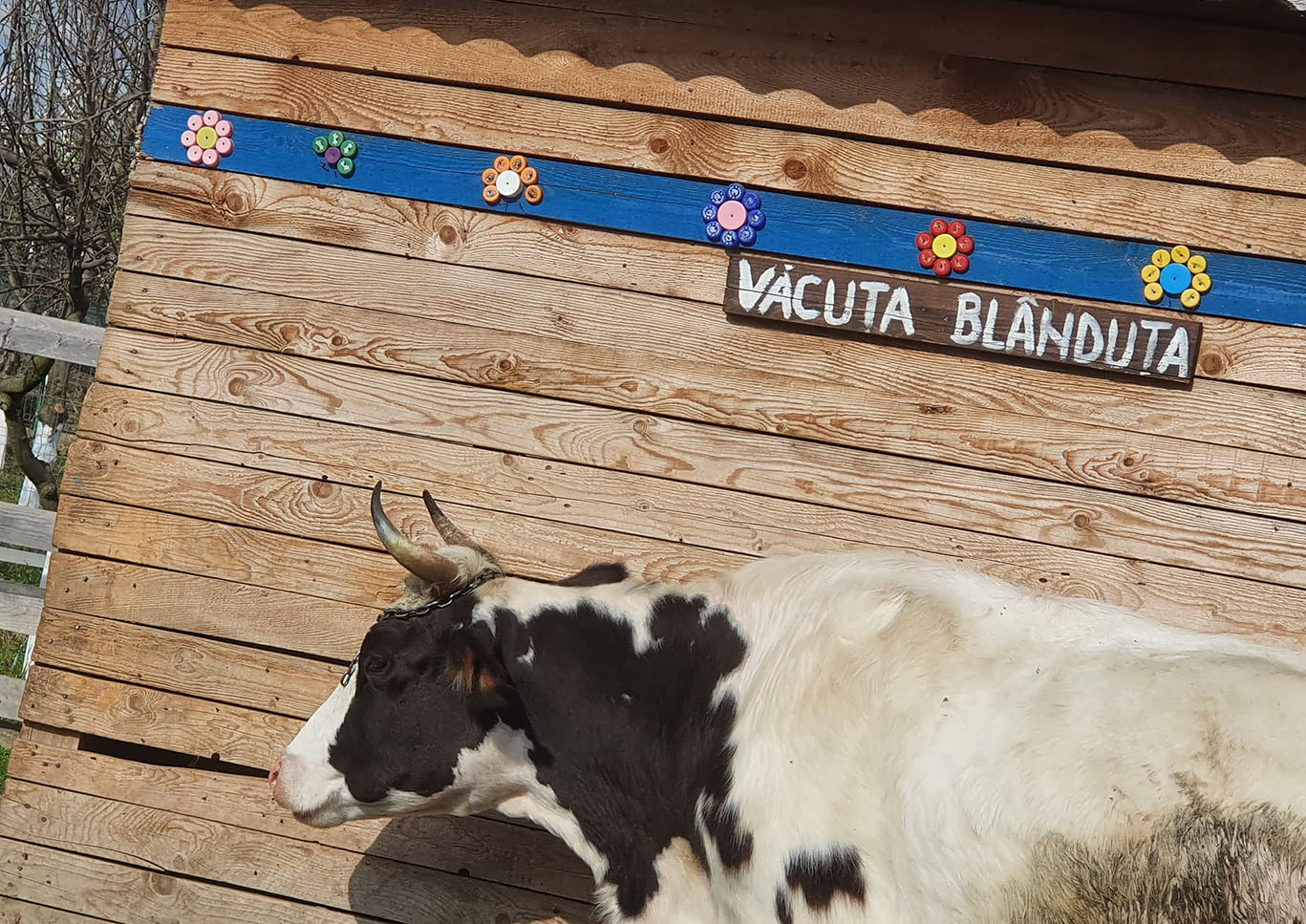 Ograda Bunicilor
